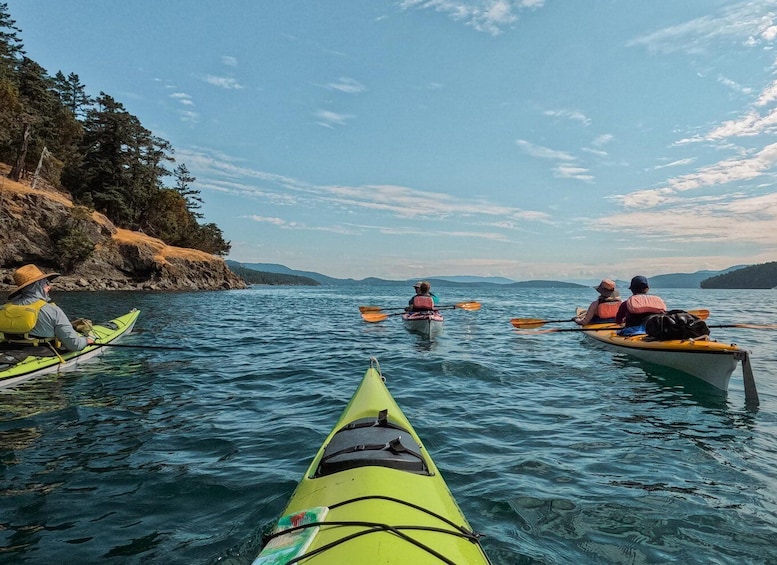 San Juan Island: 3-Hour Kayak Tour