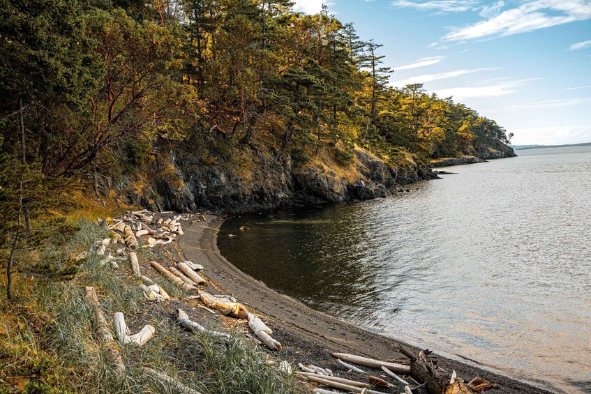 Picture 7 for Activity San Juan Island: 3-Hour Kayak Tour