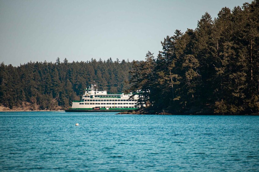 Picture 6 for Activity San Juan Island: 3-Hour Kayak Tour