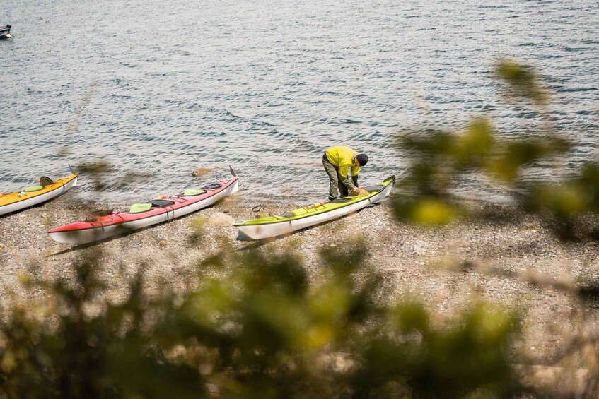 Picture 2 for Activity San Juan Island: 3-Hour Kayak Tour