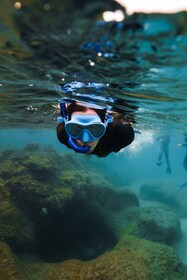 蘭薩羅特島：帕帕加約浮潛指導遊覽。