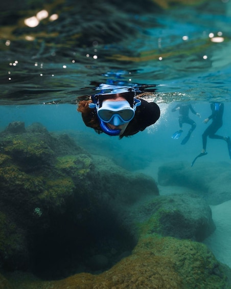 Picture 12 for Activity Lanzarote: Snorkel Guided Tour in Papagayo.