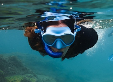 Lanzarote: Snorkel Guided Tour in Papagayo.