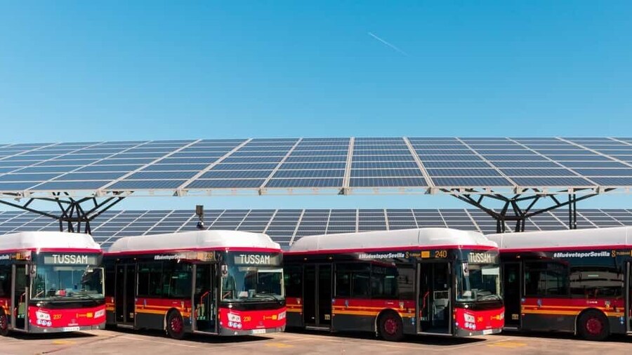 Seville: Bus Transfer Ticket between Airport and City Center