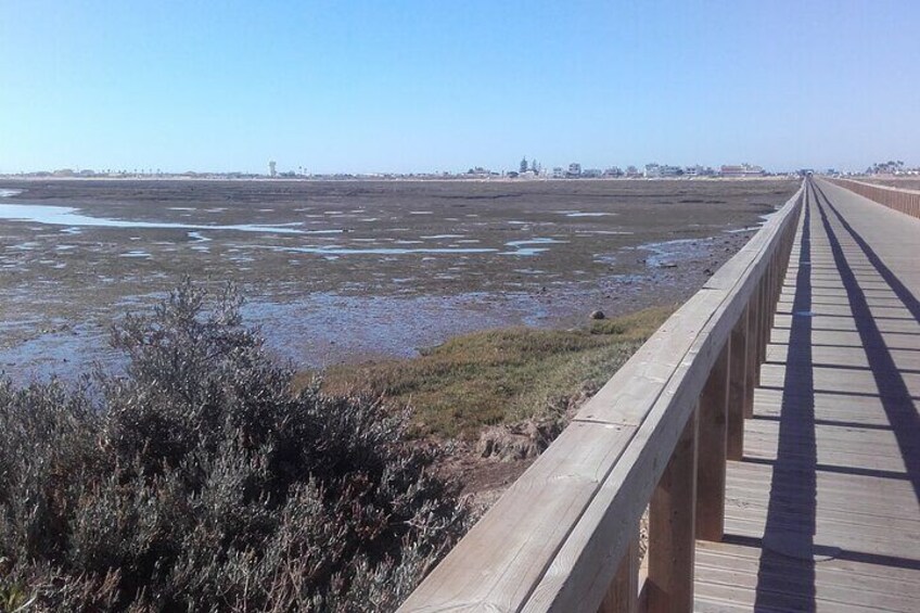 Faro City and Beach Tour on Electric Tuk tuks