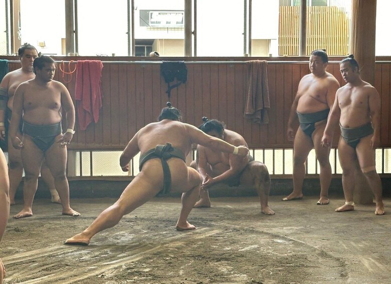 Picture 9 for Activity Tokyo: Visit Sumo Morning Practice with English Guide
