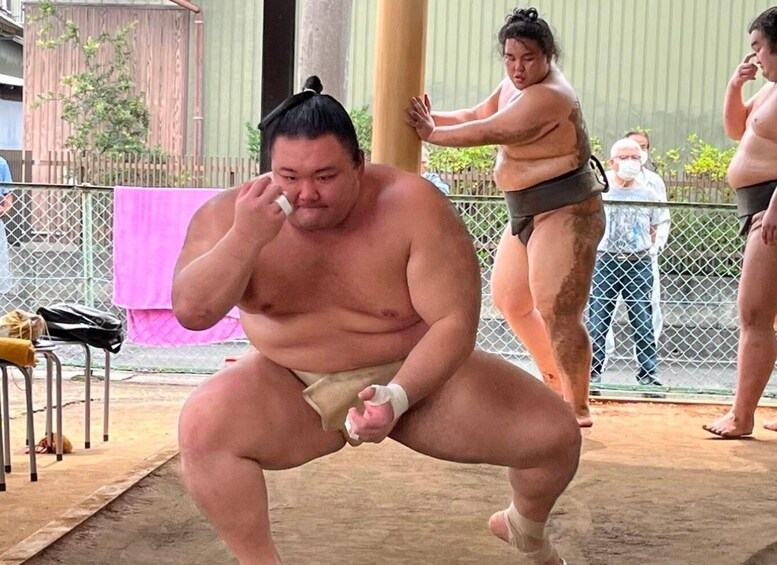 Picture 18 for Activity Tokyo: Visit Sumo Morning Practice with English Guide