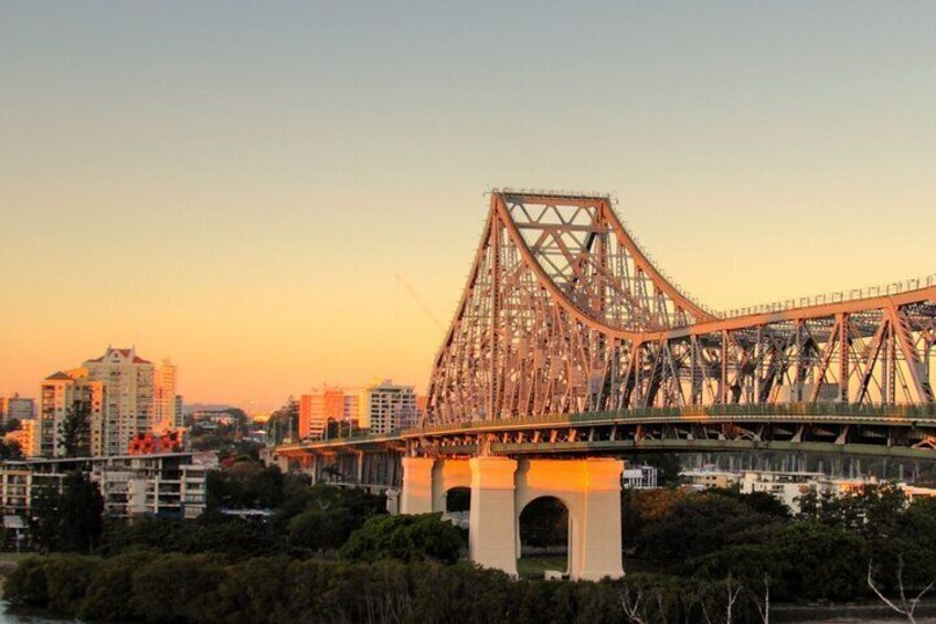 Cruise Lines Shore Tour Brisbane Highlights and Lone Pine