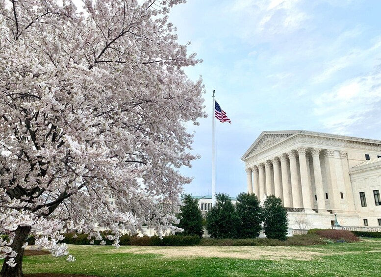 Picture 1 for Activity Private Photoshoot Outside the White House & Supreme Court