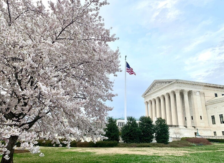 Picture 1 for Activity Private Photoshoot Outside the White House & Supreme Court