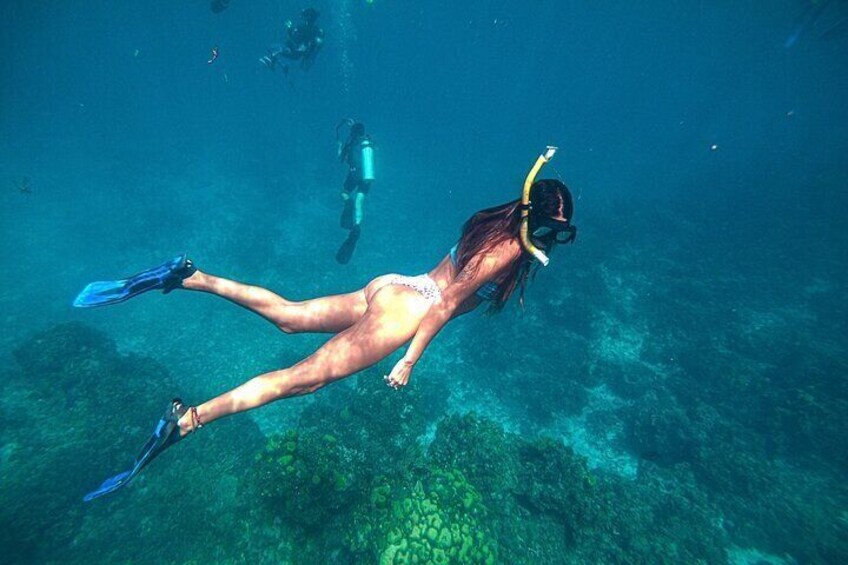 Private Snorkel in Reefs El Cielo Cozumel with Food and Drink