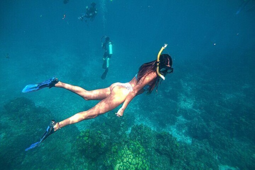Private Snorkel in Reefs El Cielo Cozumel with Food and Drink