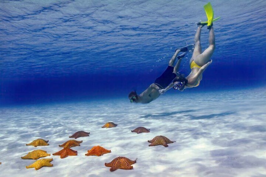 Private Snorkel in Reefs El Cielo Cozumel with Food and Drink