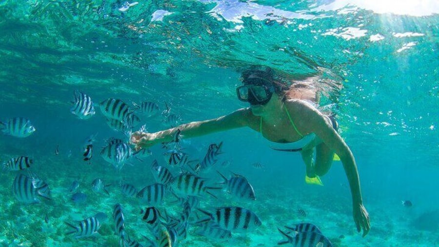 Cabo Pulmo Snorkel Adventure