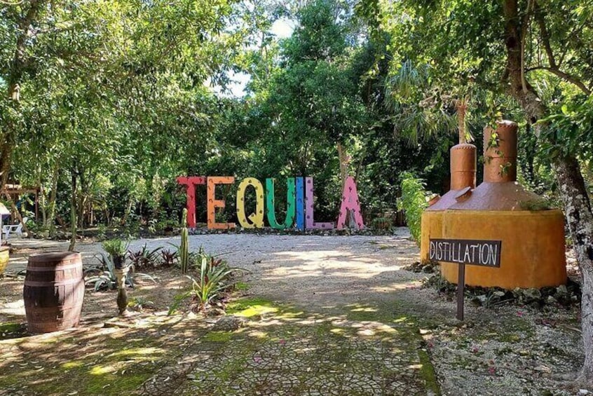 Mexican Style Tequila Tasting with Cenote Swim and Shopping