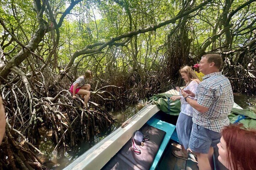 A participant poses on mangrove branches as her family captures the moment from the boat