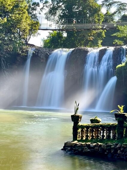 Tablelands Sights & Daintree Rainforest