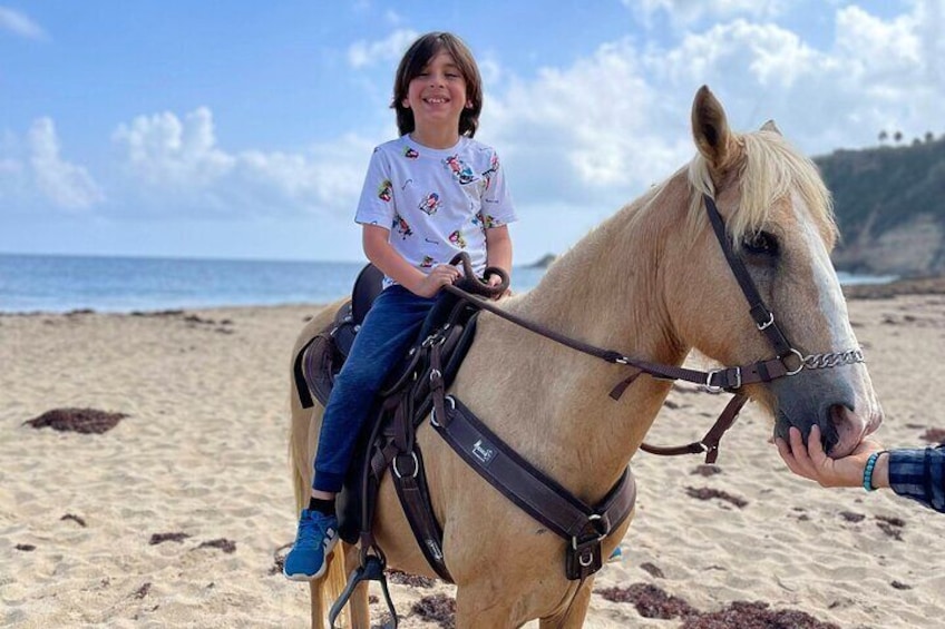 Private Horseback Ride Experience at Sandy Beach in Aguadilla