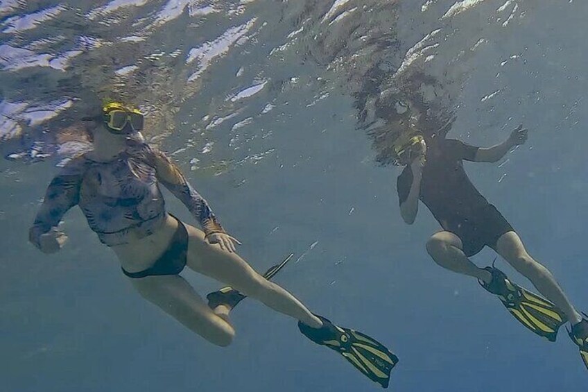 Snorkeling with Turtles from Kralendijk