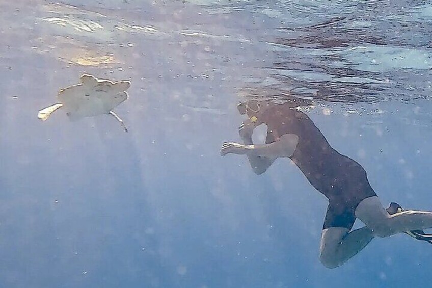 Snorkeling with Turtles from Kralendijk