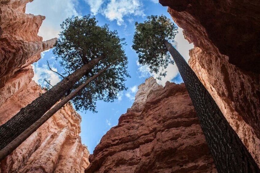 Full Day Small Group Tour in Bryce Canyon National Park