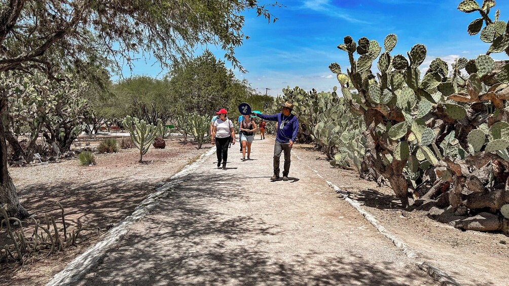 Tula, Teotihuacan & Tepotzotlan Small Group Tour