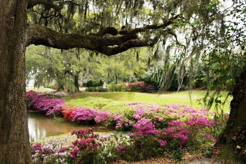 Azalea Pond at Middleton Place.