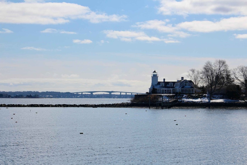 Picture 9 for Activity Wickford, RI: Narragansett Bay Seal-Watching Tour by Boat