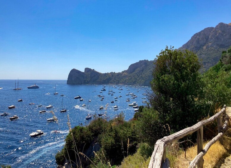 Boat Tour dinner experience in Nerano or Amalfi