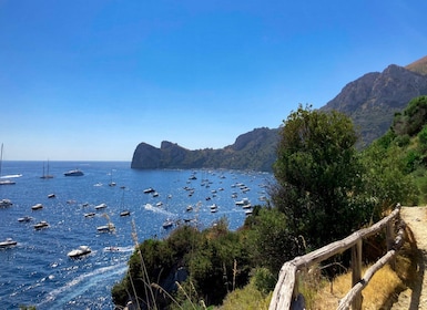 Experiencia de cena en barco en Nerano o Amalfi