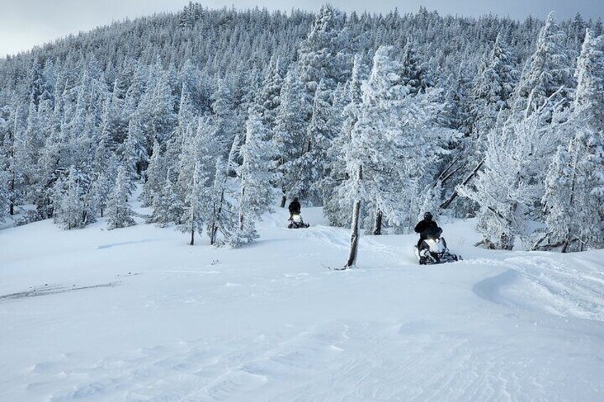 Snowmobile Tour In Bend Oregon