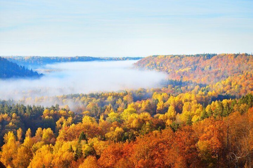 Gauja national park valley