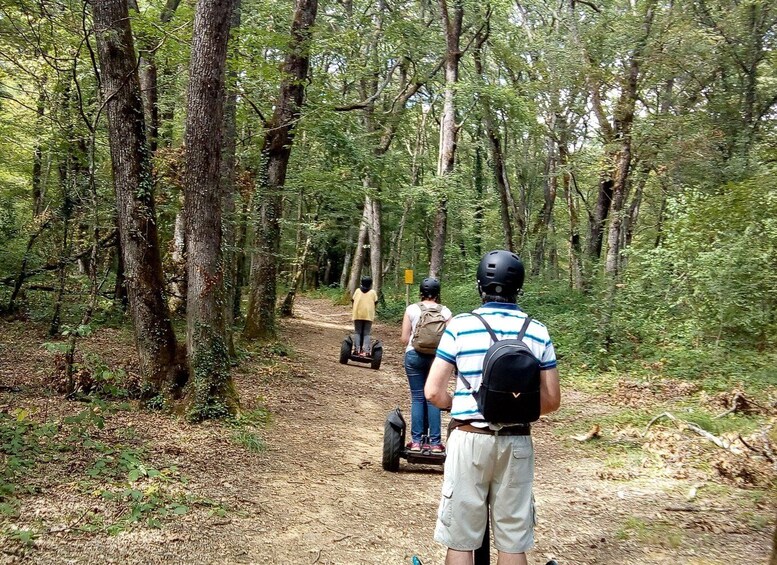 Picture 5 for Activity Segway hike 2h00 Aix les Bains between lake and forest