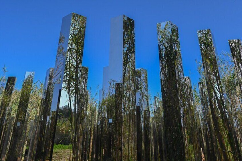 Path of Emotions, a work of art of Jeppe Hein in the garden of Villa Carmignac: you walk inside as in a labyrinth ...