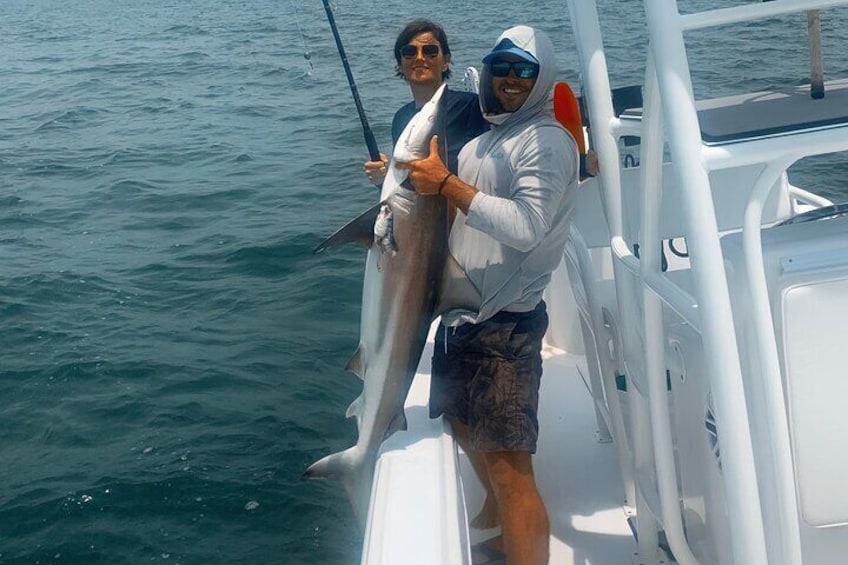 Shark Fishing Tampa Bay