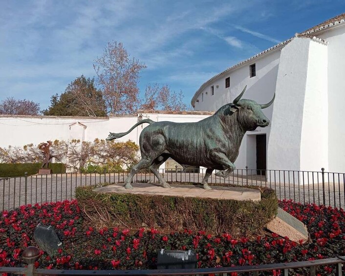 Picture 4 for Activity From Seville: Ronda and Setenil de las Bodegas Day Trip