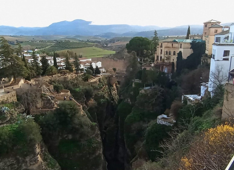 Picture 6 for Activity From Seville: Ronda and Setenil de las Bodegas Day Trip