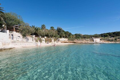 Journée complète de bateau rapide privé excursion à Hvar et Brač