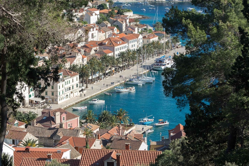 Picture 4 for Activity Full-Day Private Speed Boat Tour to Hvar & Brač