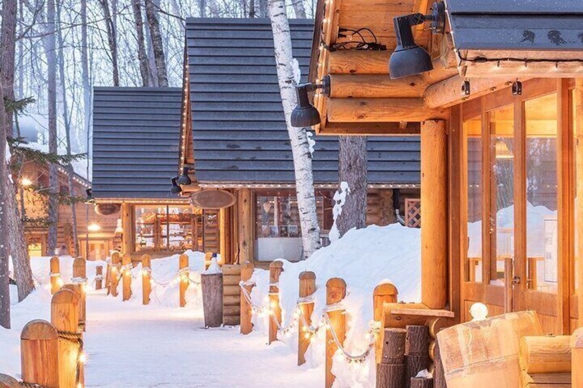 Hokkaido Day Tour from Sapporo with Noboribetsu BearPark