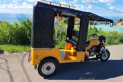 4 Hour Island Tour in Bermuda by Tuk Tuk