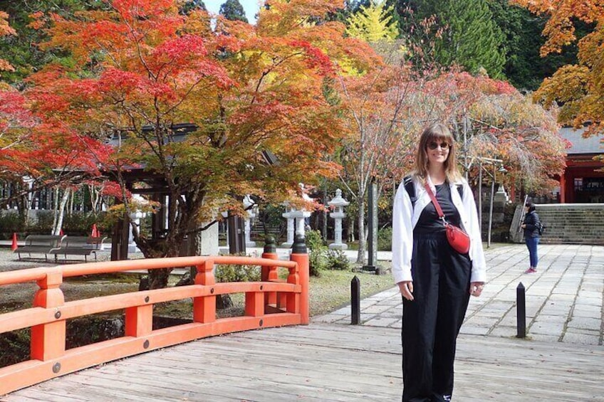 Private Sightseeing Tour Visit in Mount Koya with Licensed Guide