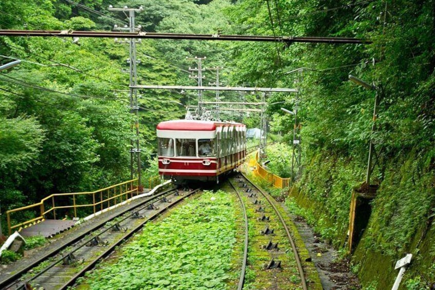 Private Sightseeing Tour Visit in Mount Koya with Licensed Guide