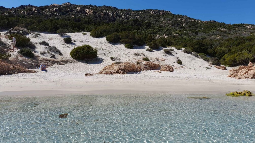 Picture 18 for Activity Poltu Quatu: La Maddalena Archipelago Sailboat full-day trip