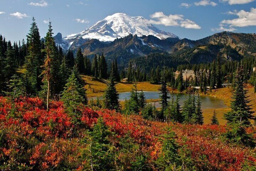 Rainier Autumn