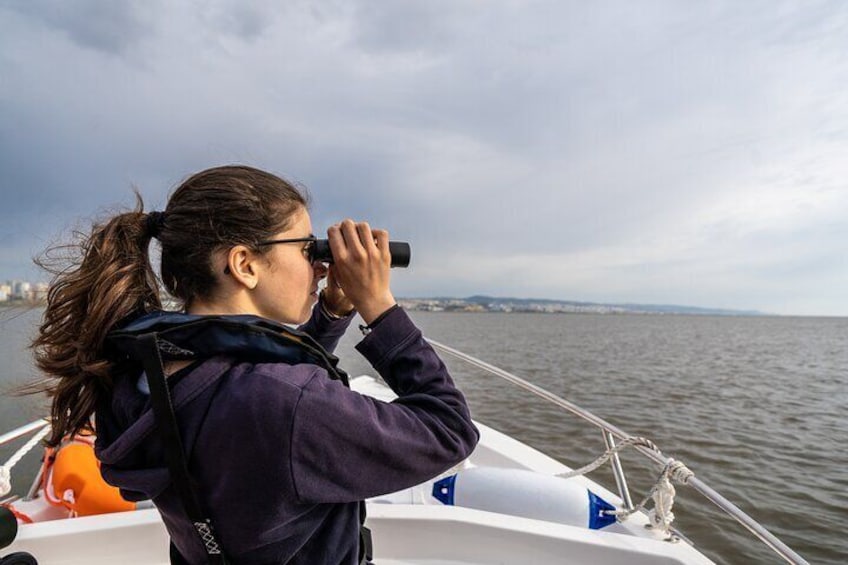 3-Hour Boat Trip and Birdwatching in the Tagus Estuary