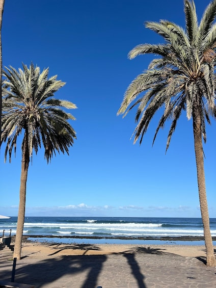 Picture 10 for Activity Tenerife : Surf lesson in Playa de las Americas