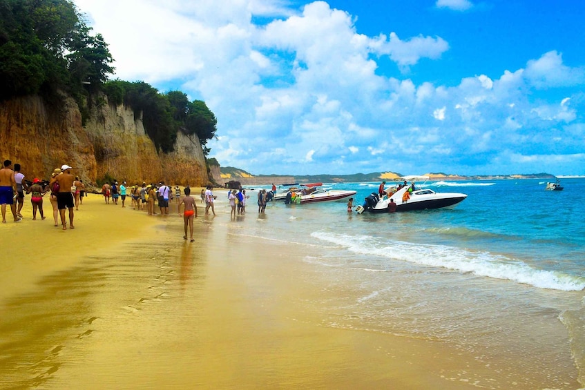 Picture 1 for Activity From Natal: Pipa Beach Full-Day Excursion