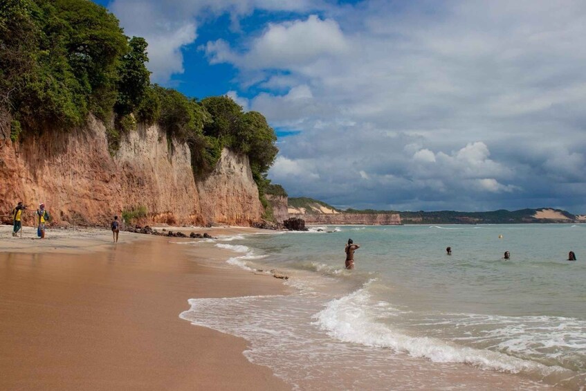 Picture 11 for Activity From Natal: Pipa Beach Full-Day Excursion