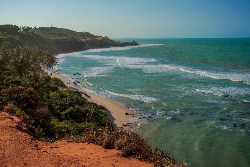 Picture 5 for Activity From Natal: Pipa Beach Full-Day Excursion